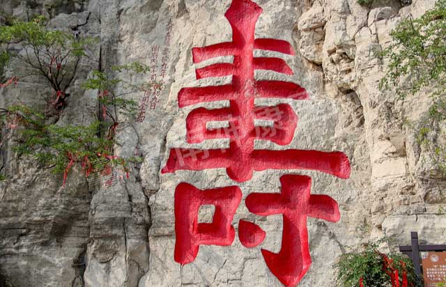 ������ҽԺ��֯Ա����չ���λ����Ϋ��������